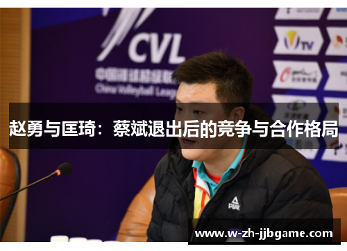 赵勇与匡琦：蔡斌退出后的竞争与合作格局