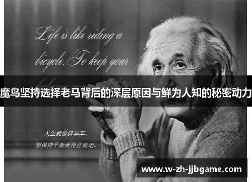 魔鸟坚持选择老马背后的深层原因与鲜为人知的秘密动力