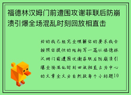 福德林汉姆门前遭围攻谢菲联后防崩溃引爆全场混乱时刻回放相直击